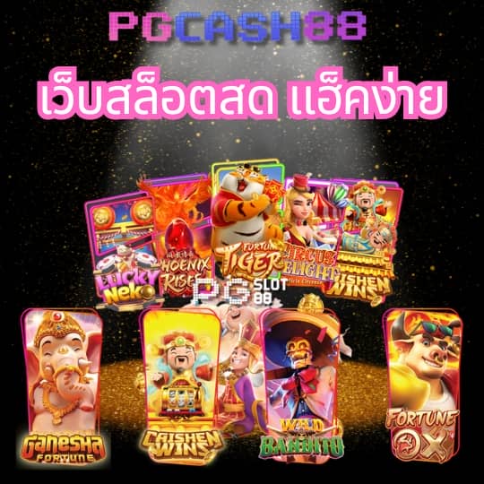 pgzeed โค้ดฟรี